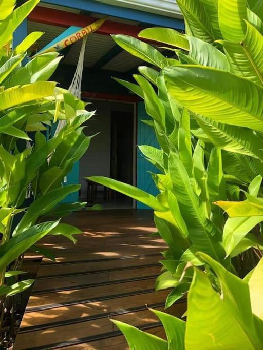 Secteur Prise, Bungalow Corail, Residence Casa Boubou Sainte-Anne  Zewnętrze zdjęcie